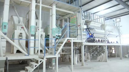 “碰網觸電”拓銷路，黃陂大米借力電商升級設備銷售