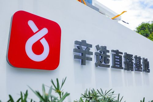 辛巴辛有志 以強(qiáng)大供應(yīng)鏈體系構(gòu)筑辛選護(hù)城河，賦能教育咨詢服務(wù)新生態(tài)