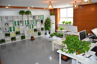 西安工程大學(xué)創(chuàng)意設(shè)計(jì)中心 打造城市文化新地標(biāo)，深耕策劃創(chuàng)意服務(wù)